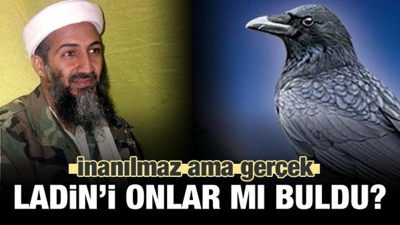 Usame Bin Ladin'i onlar mı buldu? 