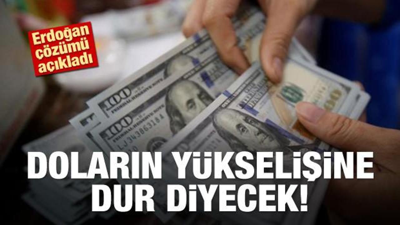 Erdoğan doların yükselişi için çözümü açıkladı