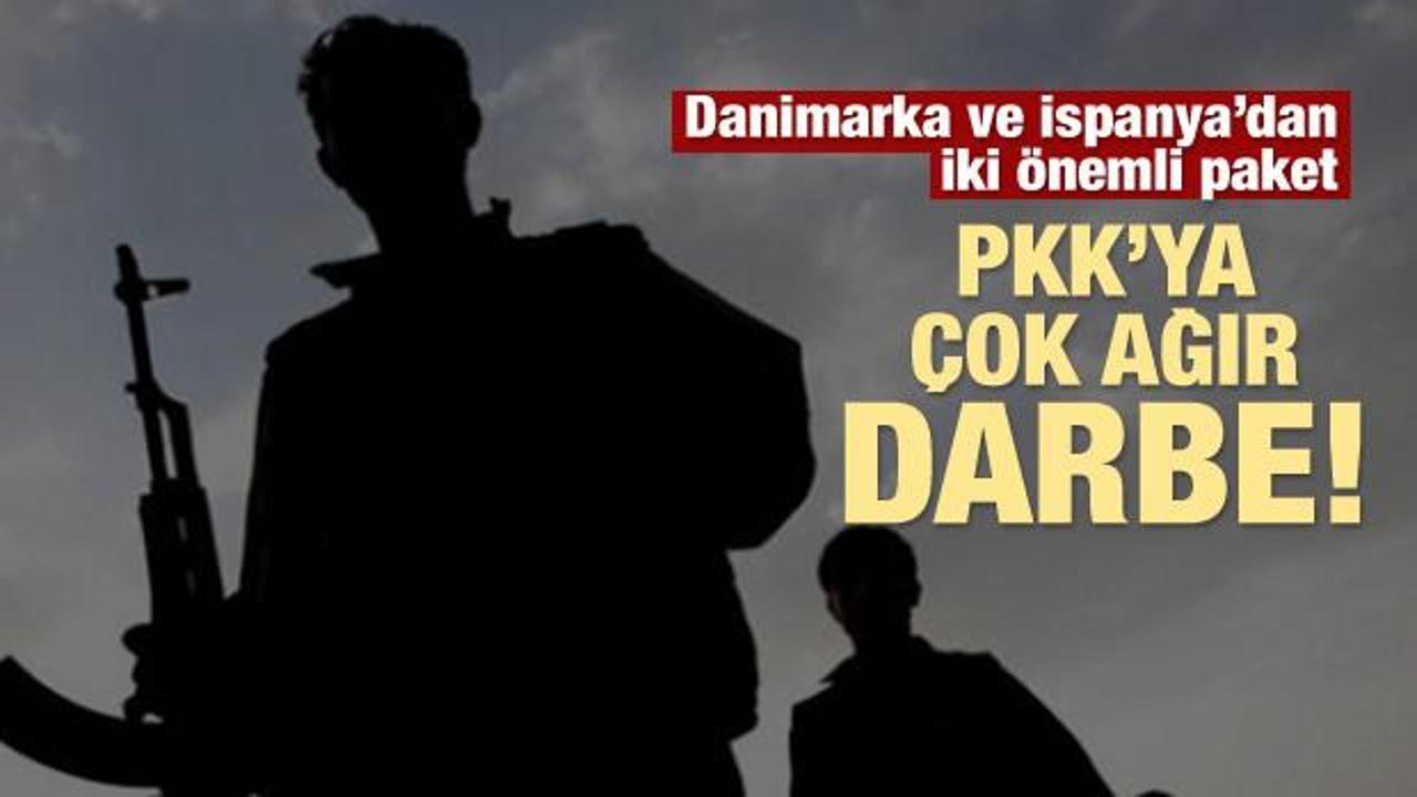 PKK'ya çok ağır darbe: Danimarka'da yakalandı!