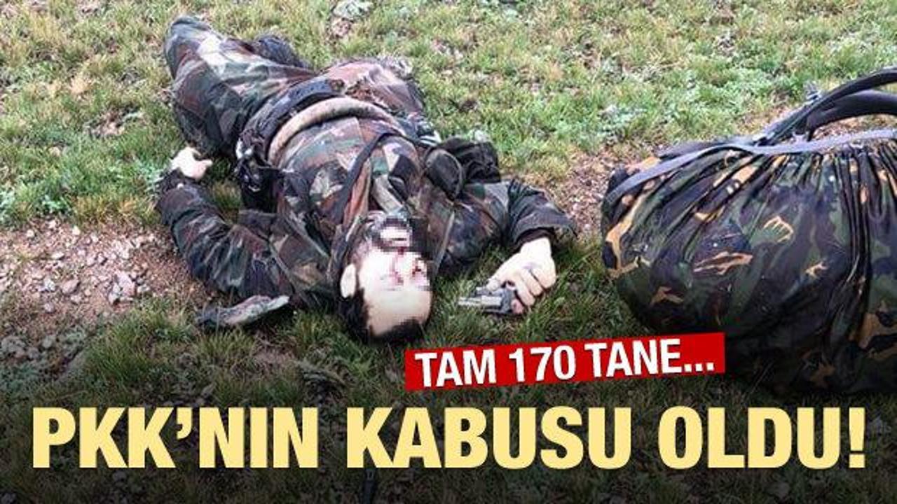 PKK'nın kabusu oldu! 170 sözde sorumlu öldürüldü