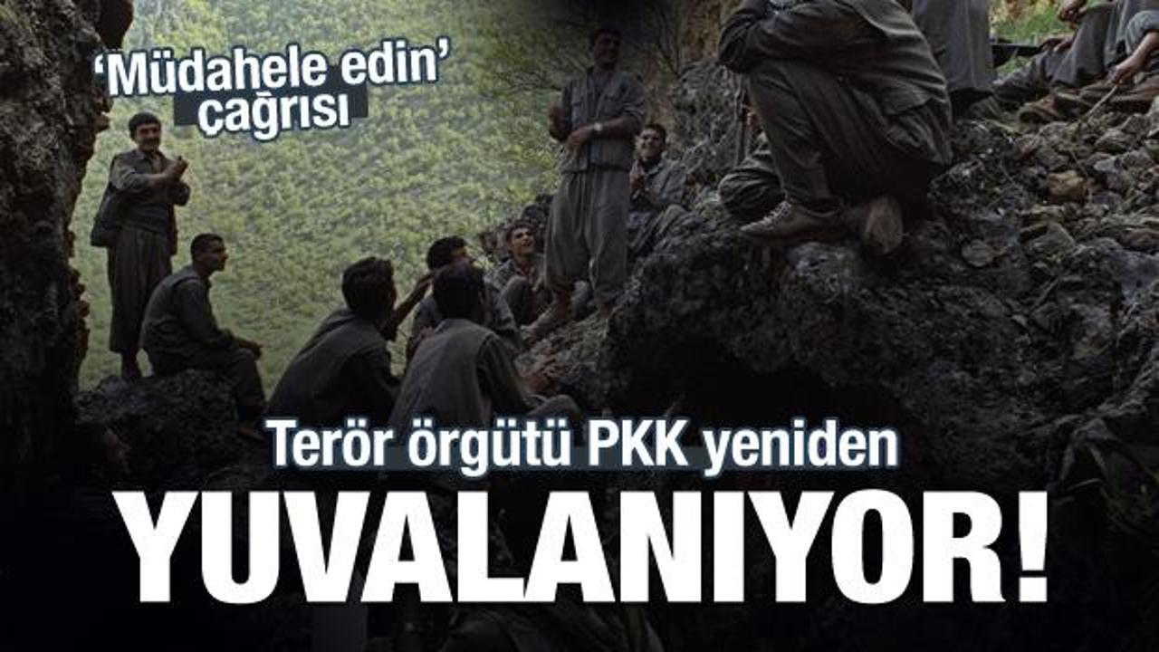 Terör örgütü PKK yeniden yuvalanıyor