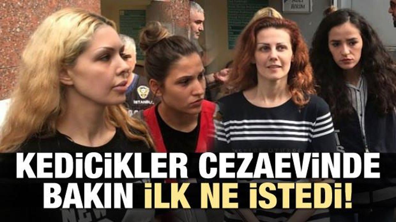 Kedicikler cezaevinde bakın ilk ne istedi