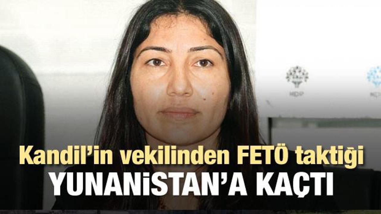 HDP'li vekilden FETÖ taktiği! Yunanistan'a kaçtı