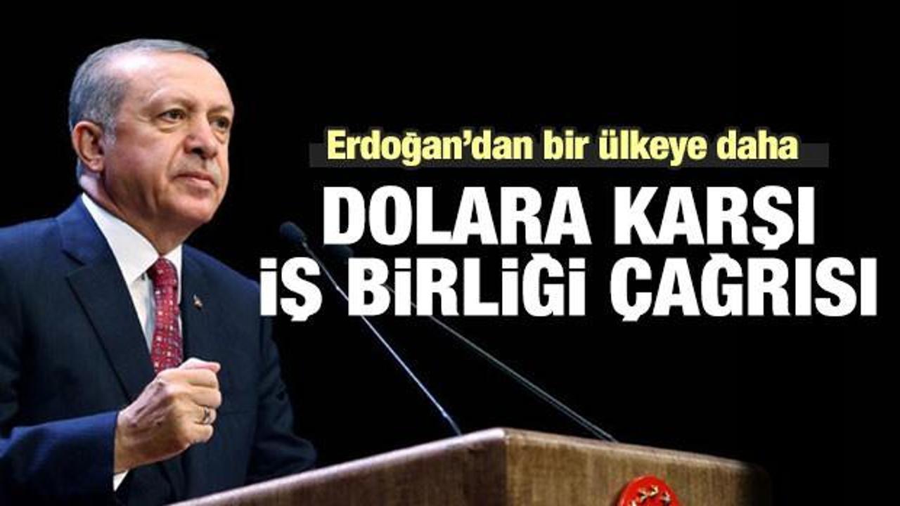 Erdoğan'dan bir ülkeye daha 'dolar' çağrısı