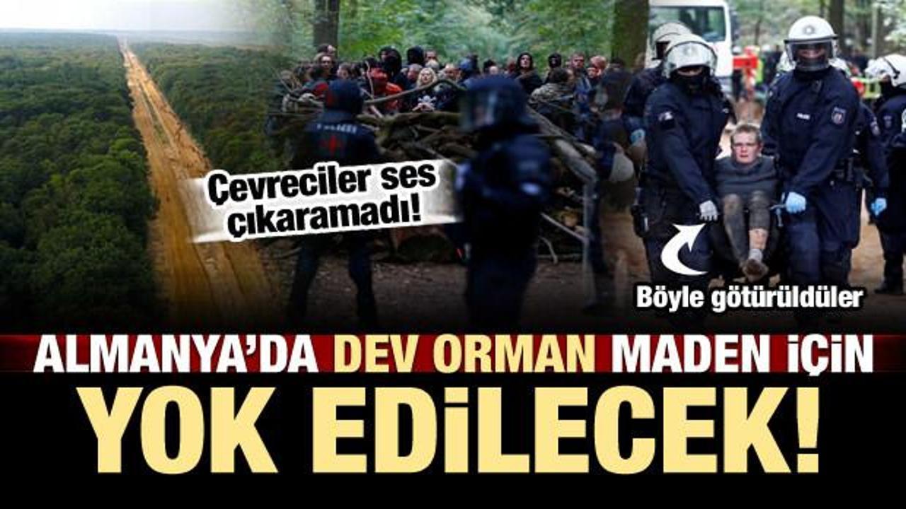 Almanlar acımıyor! Orman maden i&ccedil;in yok edilecek