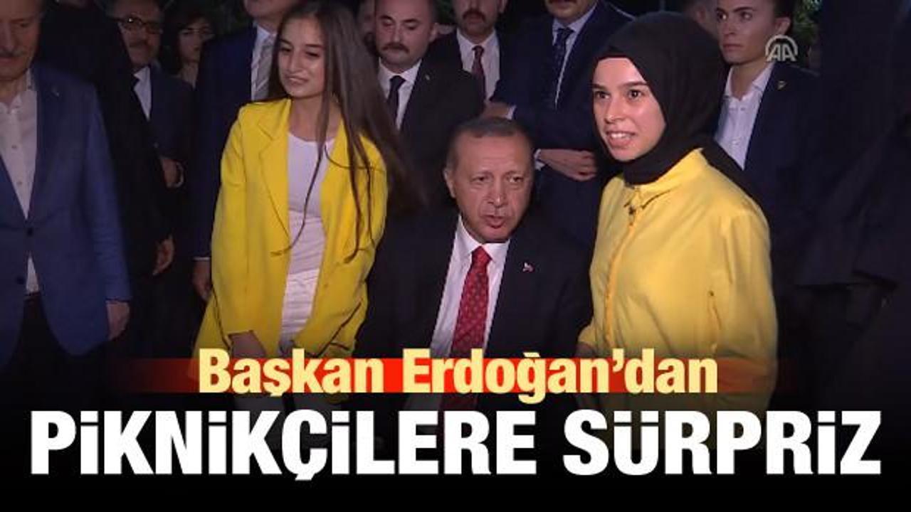 Başkan Erdoğan'dan piknikçilere sürpriz