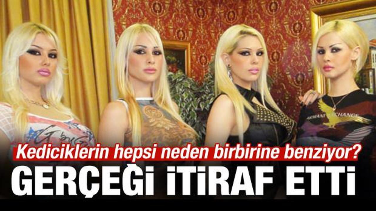 Kediciklerin neden hepsi birbirine benziyor?