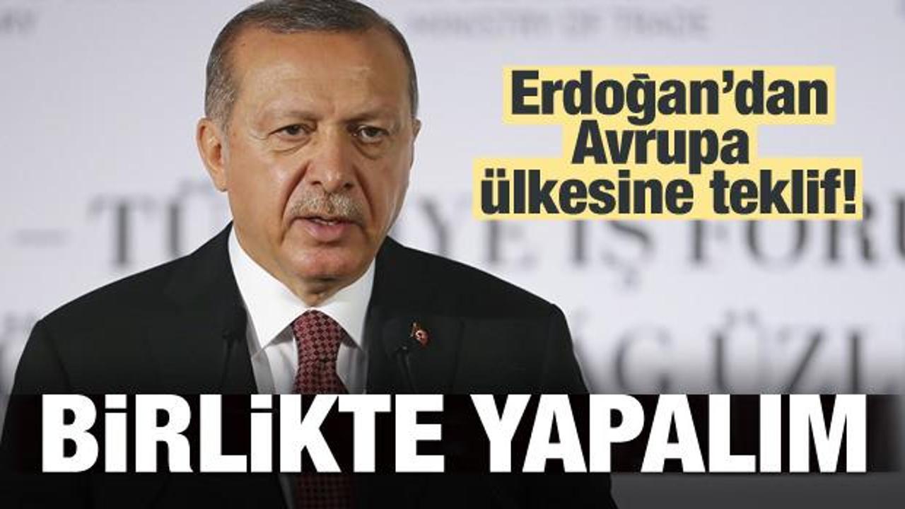 Erdoğan'dan Avrupa ülkesine: Birlikte yapalım
