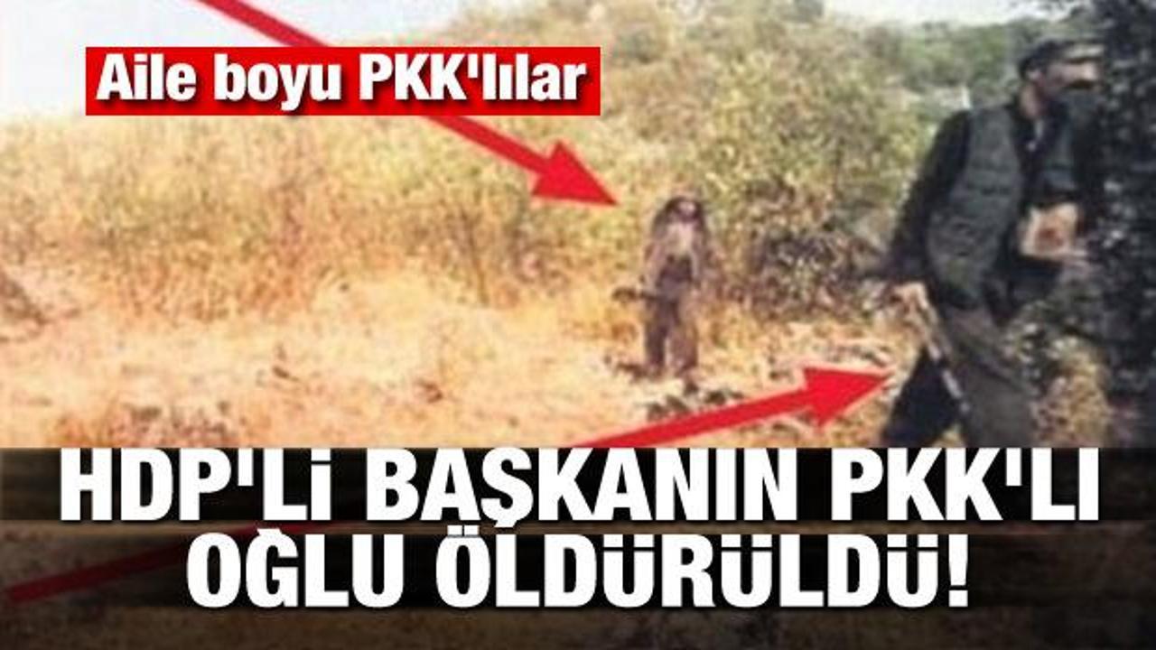 HDP'li başkanın PKK'lı oğlu öldürüldü! Aile boyu PKK'lılar