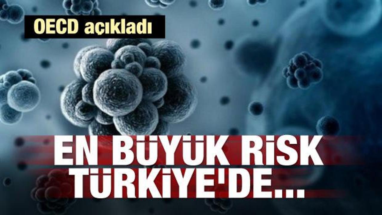 OECD açıkladı: En büyük risk Türkiye'de...