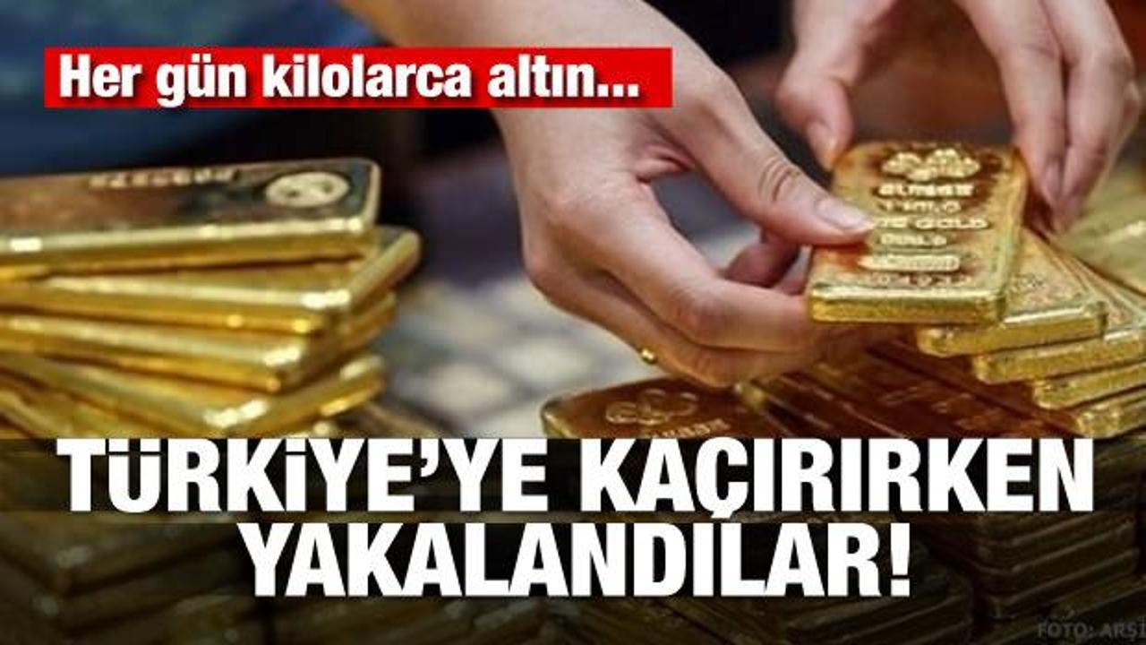 Her gün kilolarca altın... Türkiye'ye kaçırırken yakalandılar