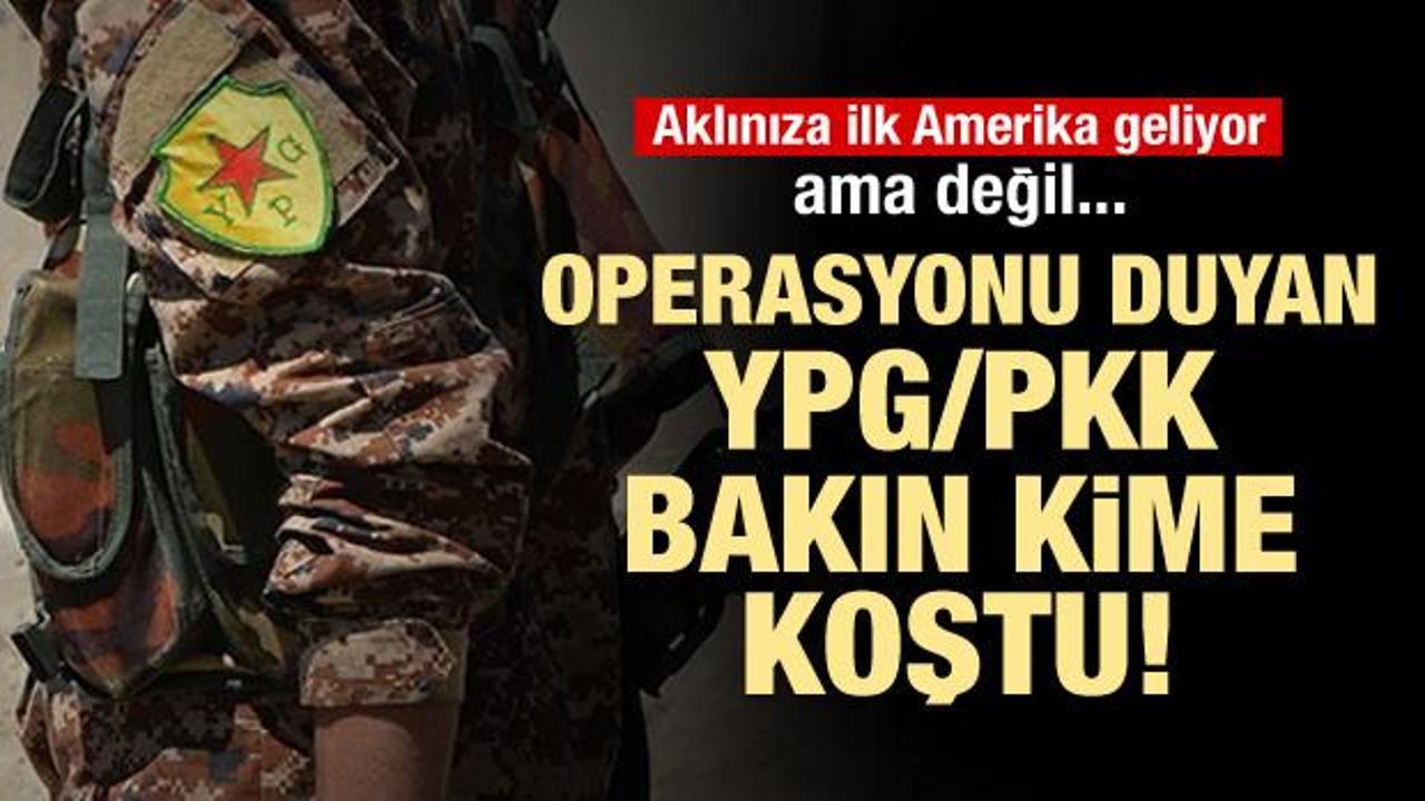 ABD değil...Operasyonu duyan PKK bakın kime koştu