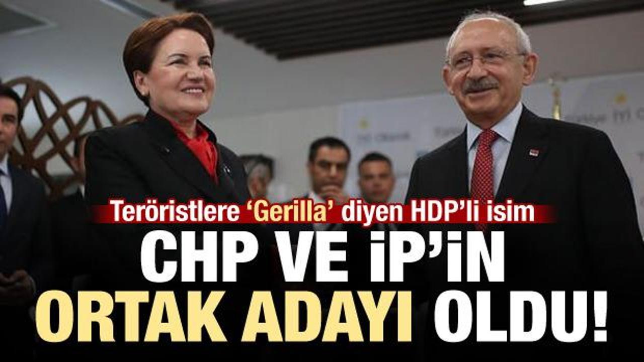 CHP-İP'in Gaziantep adayı: HDP'li Celal Doğan