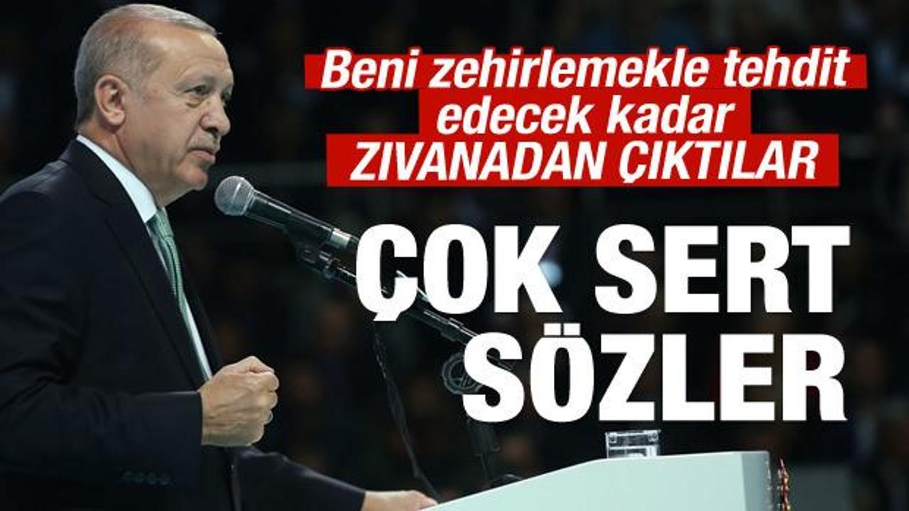Cumhurbaşkanı Erdoğan: Zıvanadan çıktılar