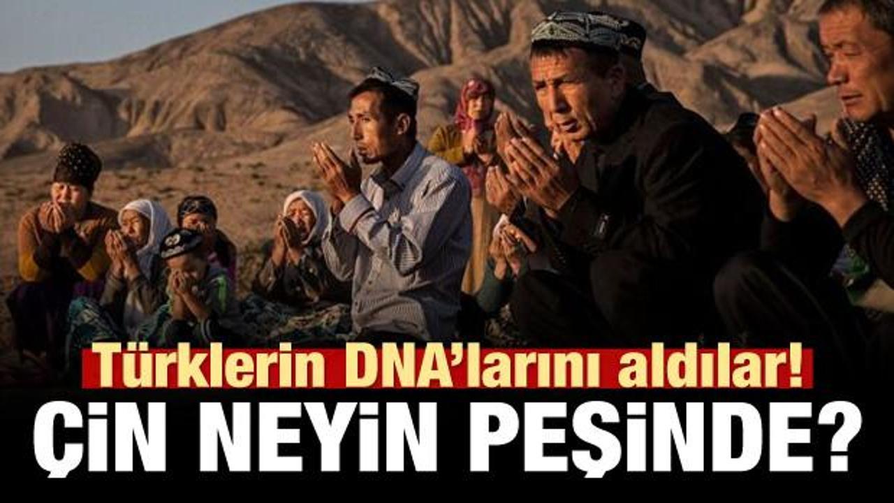 Türklerin DNA'larını topladılar! Çin neyin peşinde?