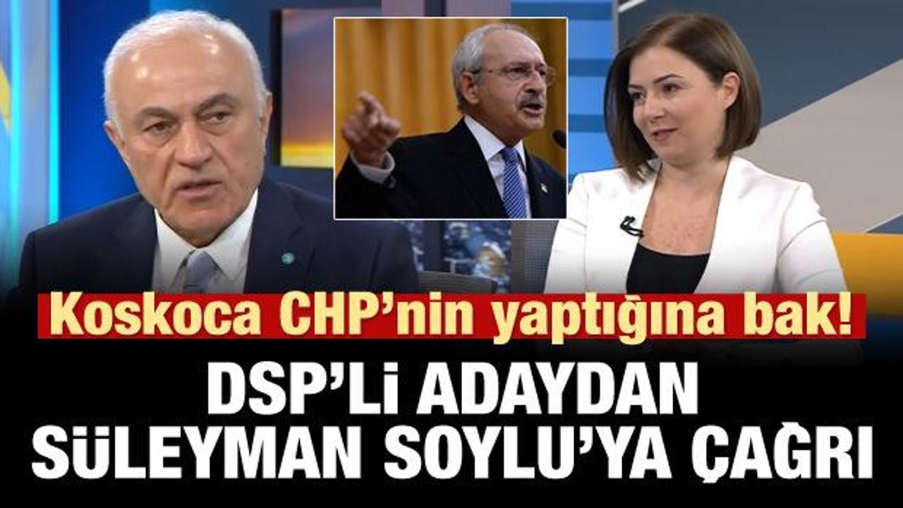 DSP'li adaydan Süleyman Soylu'ya çağrı: Bu işe el atın!