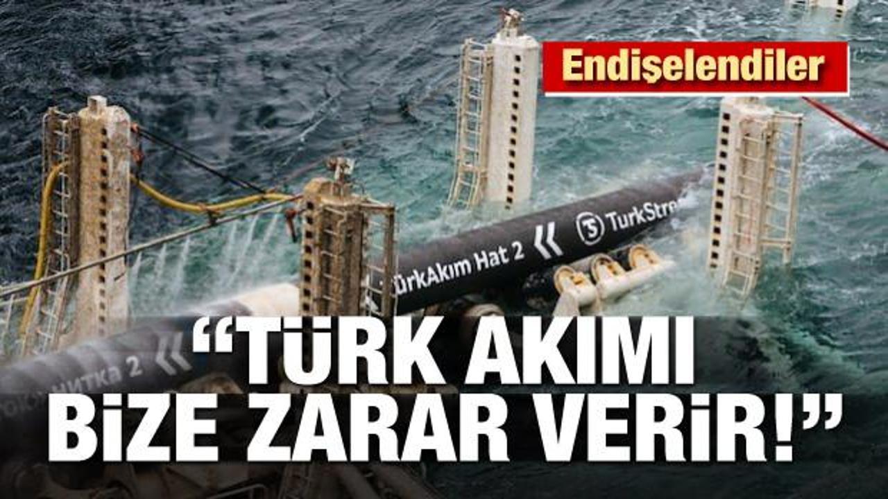 Endişelendiler: Türk Akımı bize zarar verir