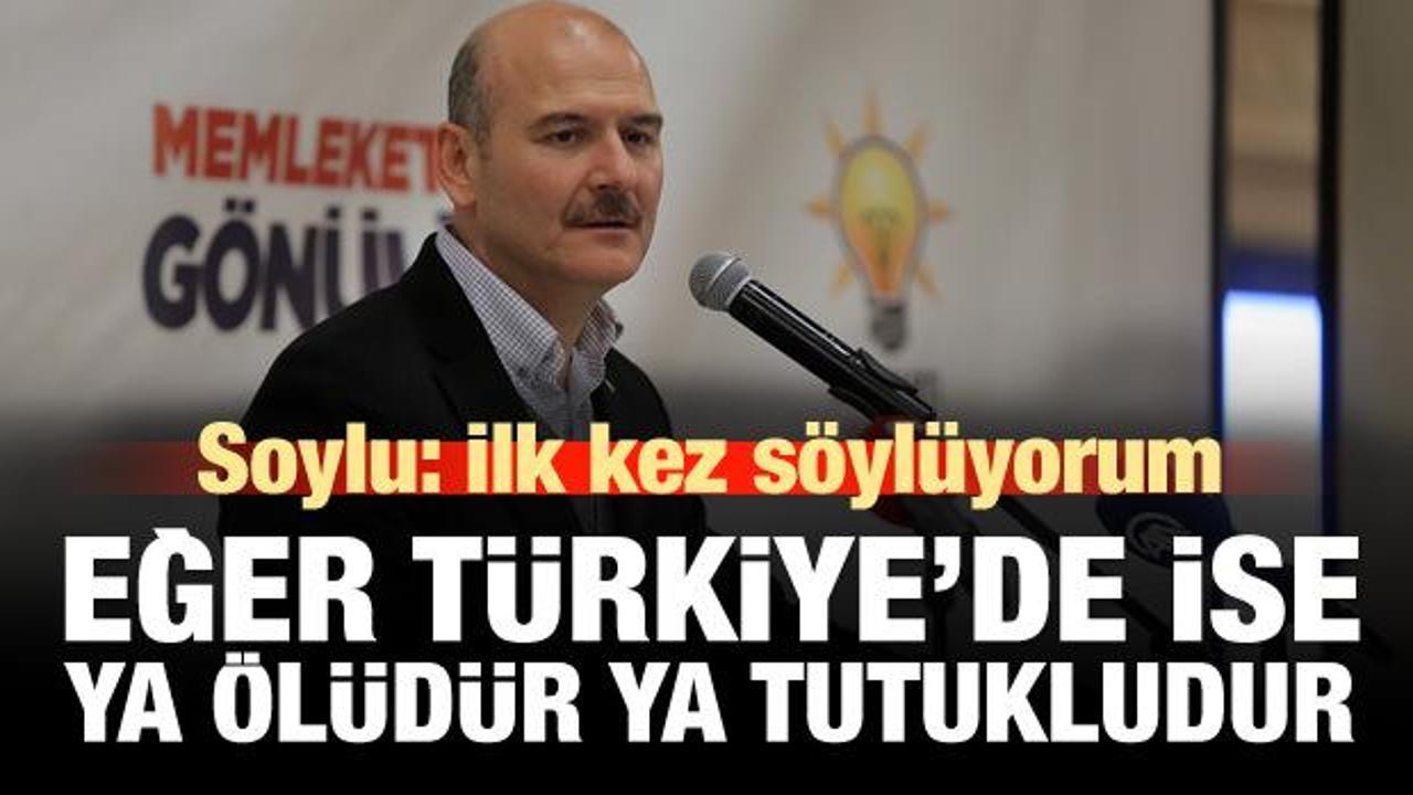 Soylu: Eğer Türkiye'de ise ya ölüdür, ya tutukludur