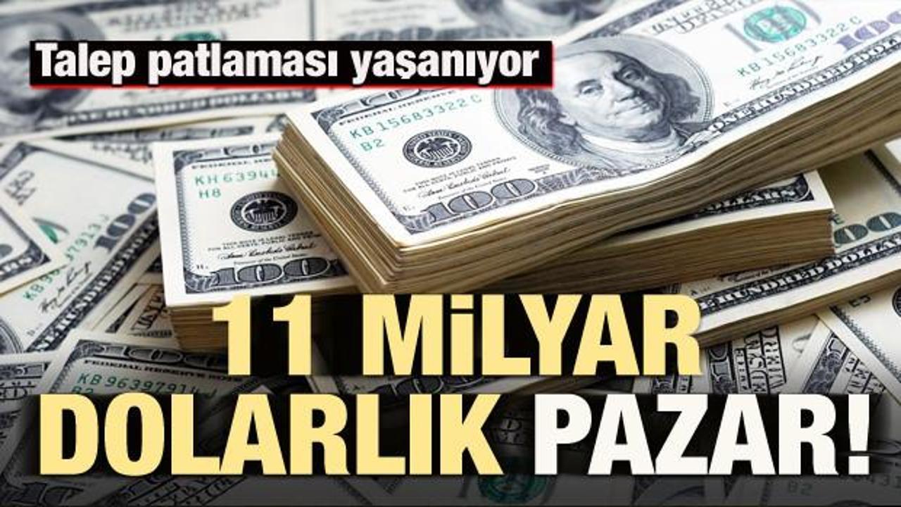 11 milyar dolarlık pazar! 19 şehirde talep patladı...