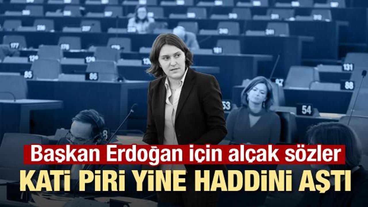 Türkiye düşmanı Kati Piri yine haddini aştı! Skandal sözler