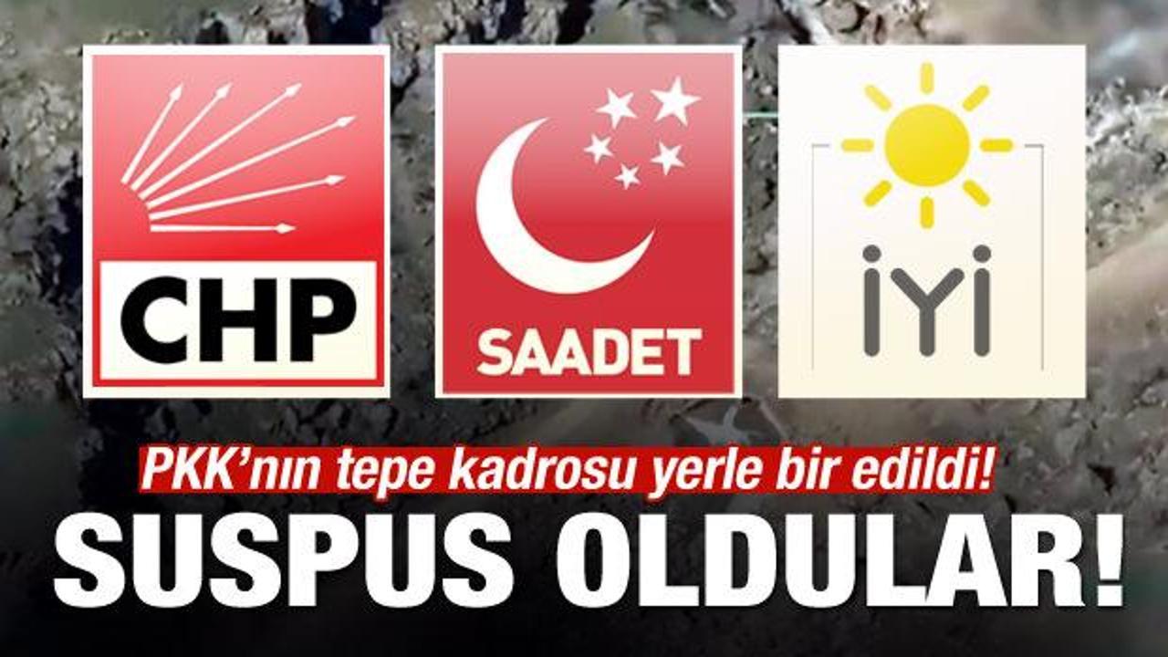 PKK'nın tepe kadrosu yerle bir oldu! 3 parti suspus!