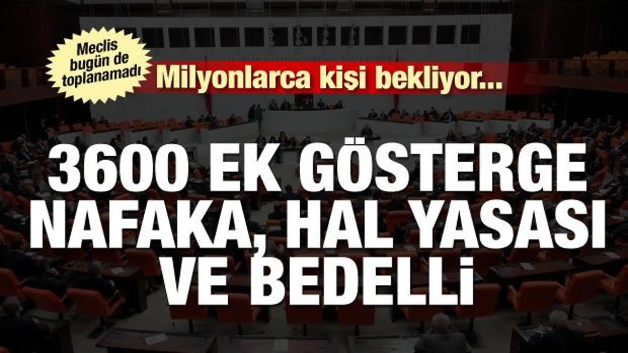 Meclis'e geliyor! 3600 ek gösterge, nafaka, hal yasası ve bedelli