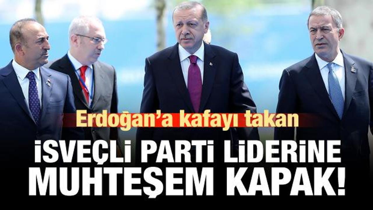 Erdoğan'a kafayı takan İsveç partisine muhteşem kapak!