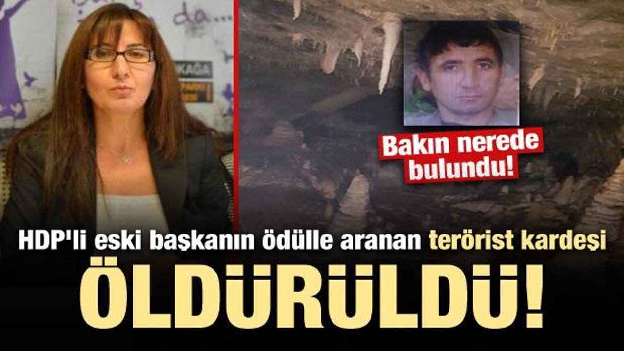 HDP'li eski başkanın ödülle aranan terörist kardeşi öldürüldü
