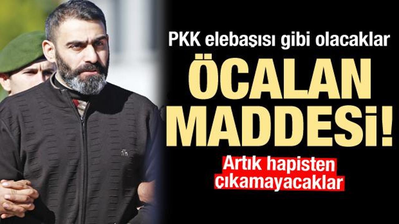 PKK elebaşı Öcalan gibi olacak... Ömür boyu hapiste kalacaklar