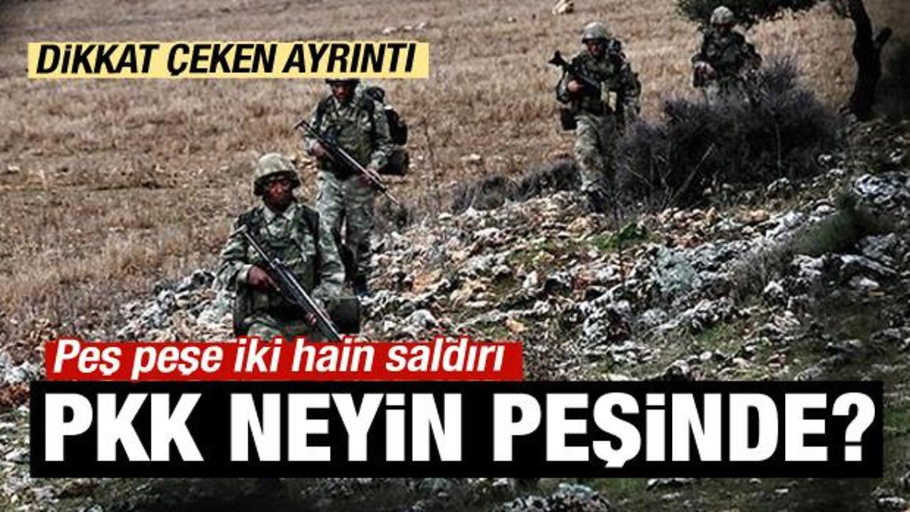 PKK neyin peşinde?