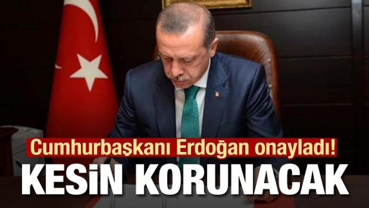 Cumhurbaşkanı Erdoğan onayladı! 16 alan kesin korunacak