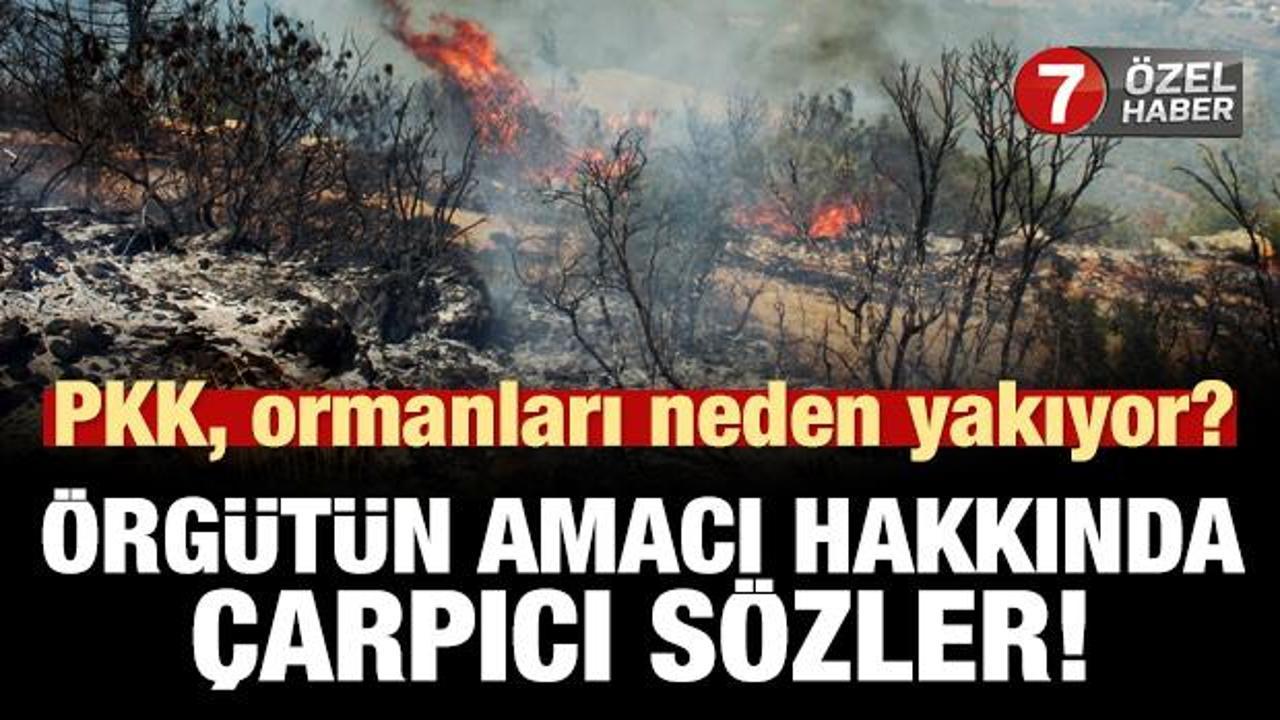 PKK neden ormanları yakıyor? Örgütün amacı hakkında çarpıcı sözler!