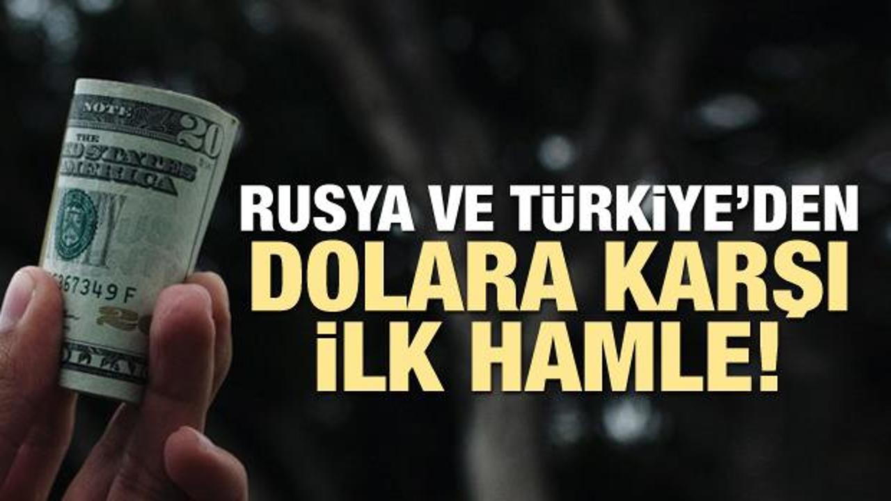 Türkiye ve Rusya'dan dolara karşı ilk hamle