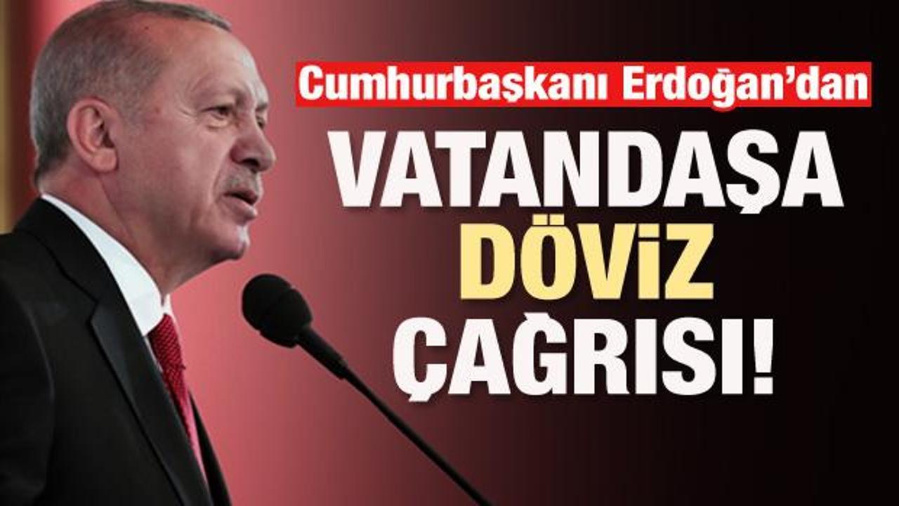 Erdoğan'dan vatandaşa döviz çağrısı!