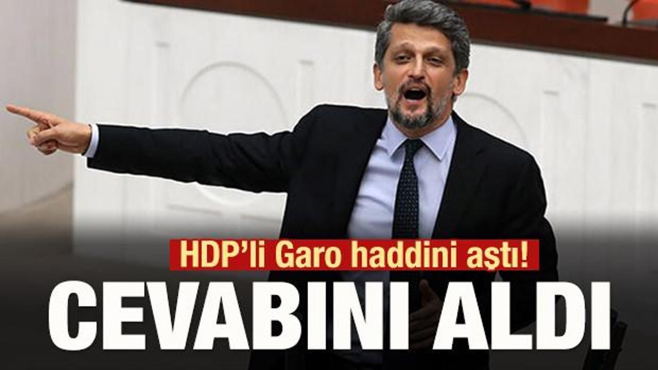 HDP'li Garo haddini aştı! Cevabını aldı