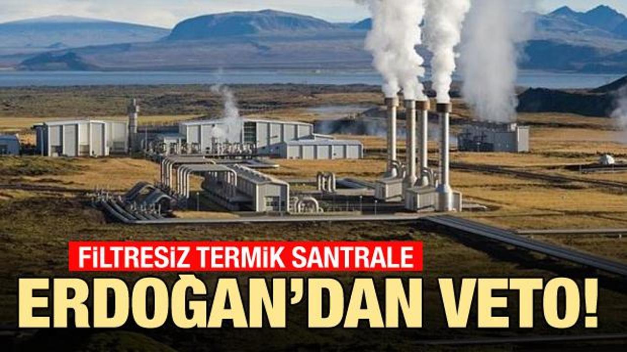 Son dakika: Erdoğan'dan termik santrale filtre düzenlemesine veto!