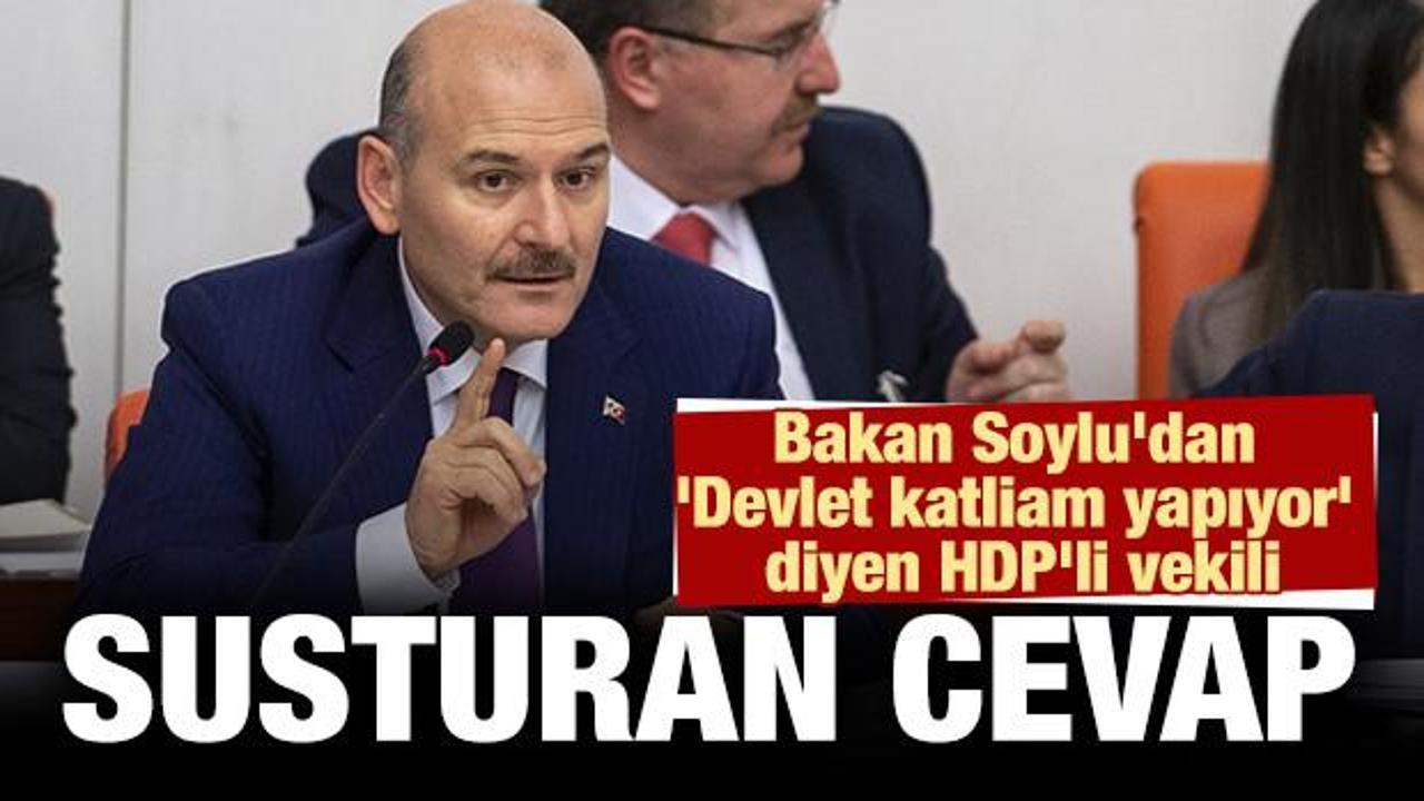 Bakan Soylu, 'devlet katliam yapıyor' diyen HDP'li vekili susturdu