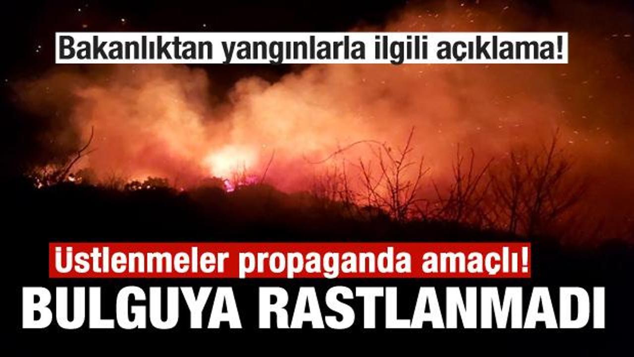 İçişleri Bakanlığından Karadeniz'deki orman yangınlarıyla ilgili açıklama!
