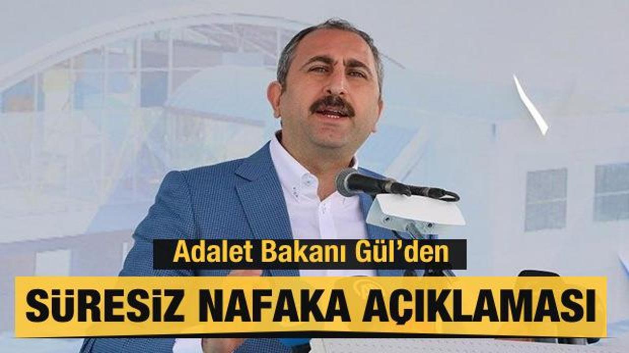 Abdülhamit Gül'den süresiz nafaka açıklaması