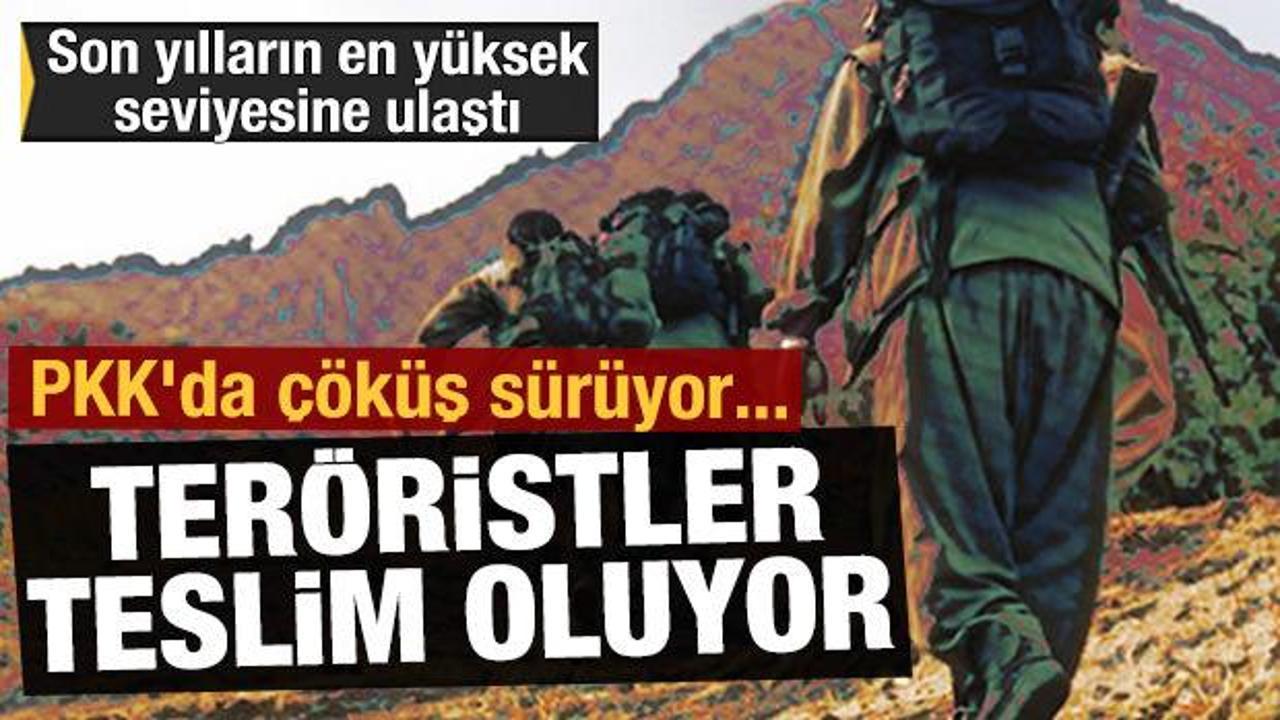 PKK'da çöküş sürüyor... Teröristler güvenlik güçlerine teslim oluyor