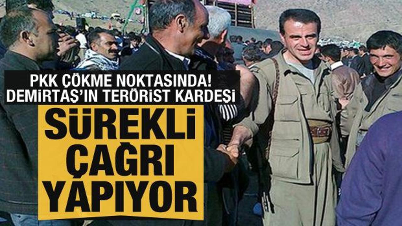 PKK çökme noktasına geldi: Demirtaş'ın terörist kardeşi sürekli çağrı yapıyor