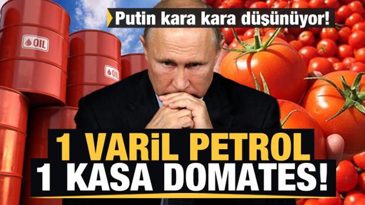 Putin kara kara düşünüyor! 1 varil petrol ile 1 kasa domates alınıyor