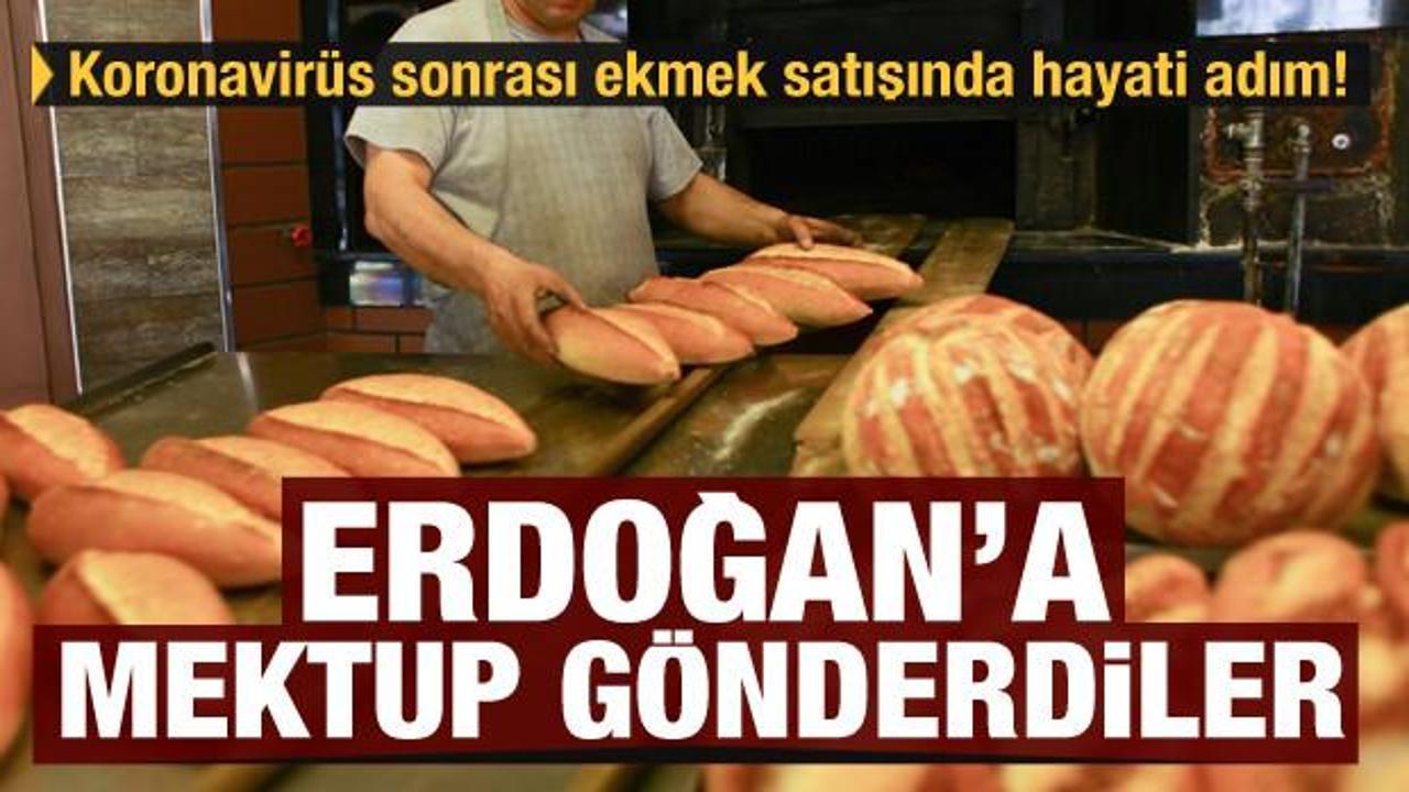Koronavirüs sonrası ekmek satışında hayati adım! Erdoğan'a mektup gönderildi