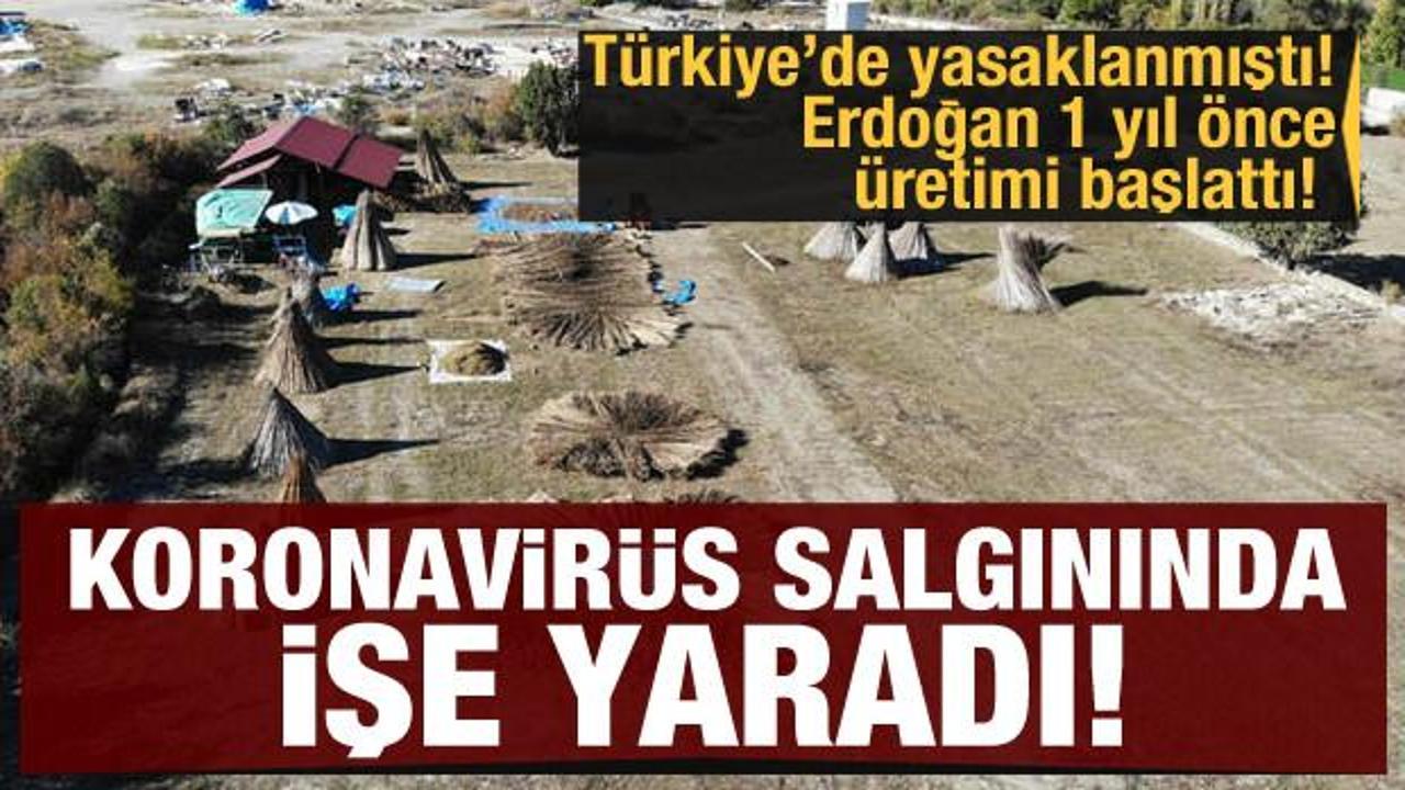 Yasaklanmıştı! Erdoğan 1 yıl önce üretimi başlattı! Koroanvirüs salgınında işe yaradı