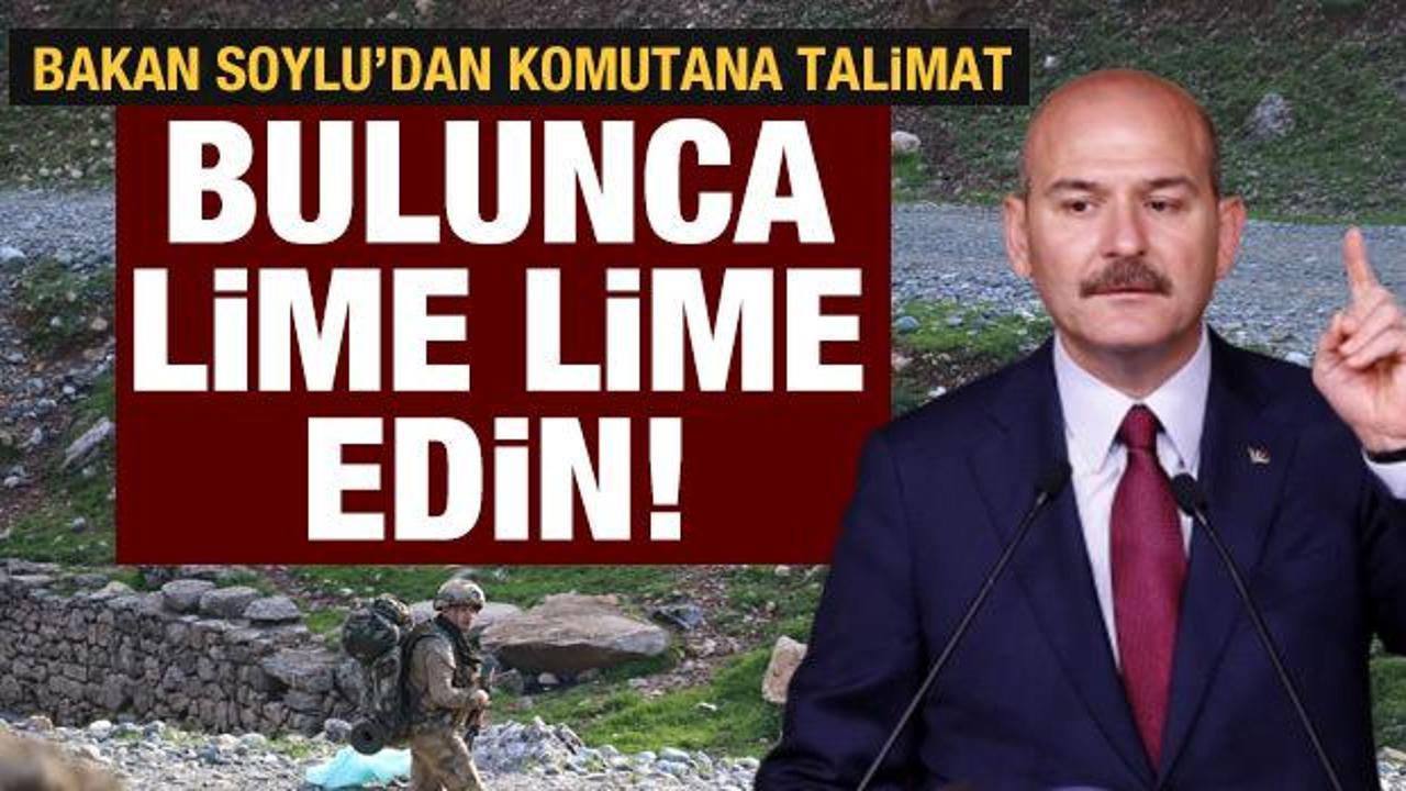 İçişleri Bakanı Soylu'dan bölge komutanına PKK talimatı: Bulunca lime lime edin!