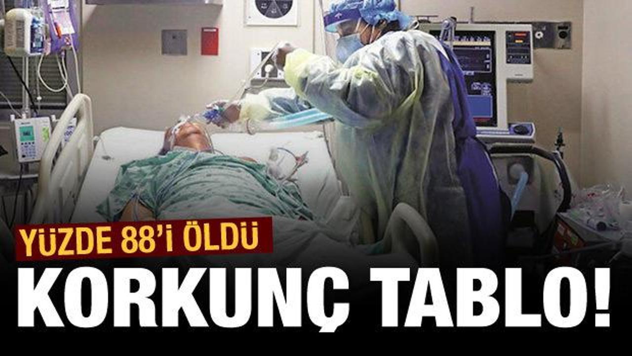 New York'ta korkun&ccedil; tablo y&uuml;zde 88'i &ouml;ld&uuml;