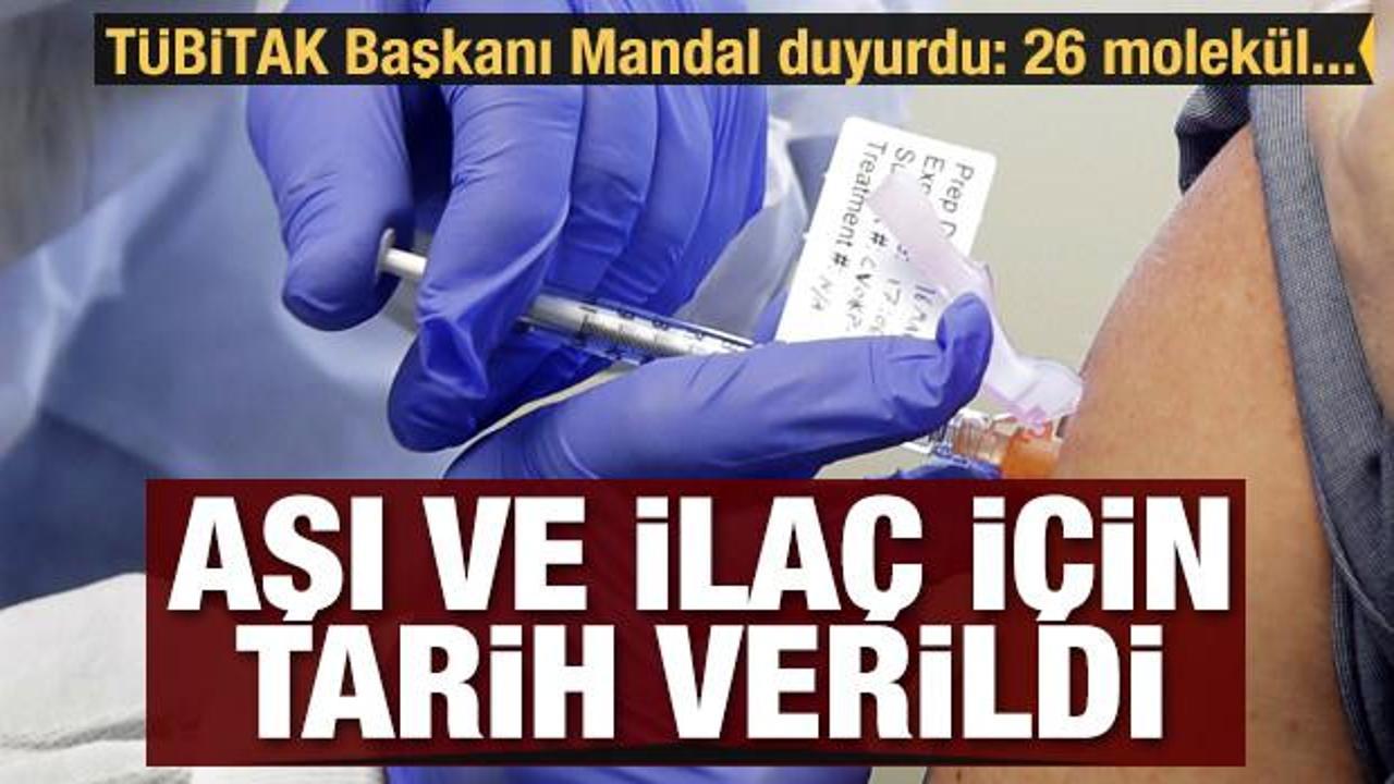 TÜBİTAK Başkanı Mandal, Covid-19 aşısı ve ilacı için tarih verdi
