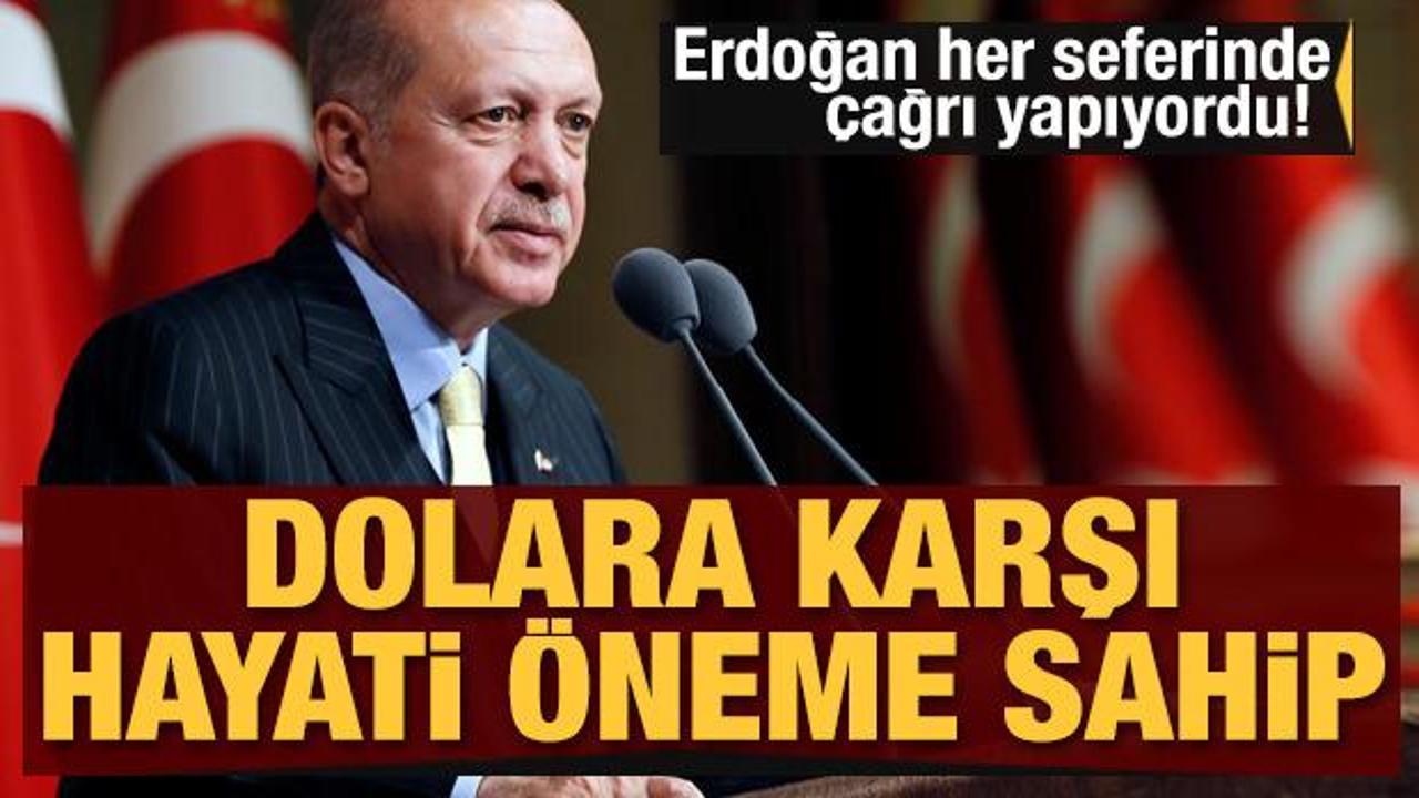 Erdoğan her seferinde çağrı yapıyordu! Dolara karşı hayati öneme sahip