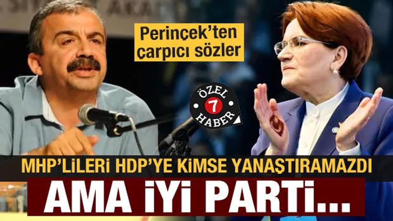 Doğu Perinçek: MHP'lileri kimse yanaştıramazdı ama İyi Parti HDP ile aynı cephede yer aldı