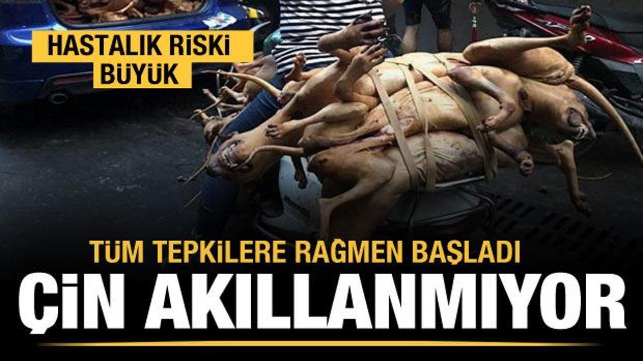 &Ccedil;in akıllanmıyor! K&ouml;pek eti festivali başladı...